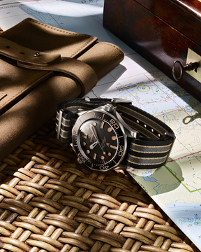 Seamaster Diver 300M 007 Edition 42 mm